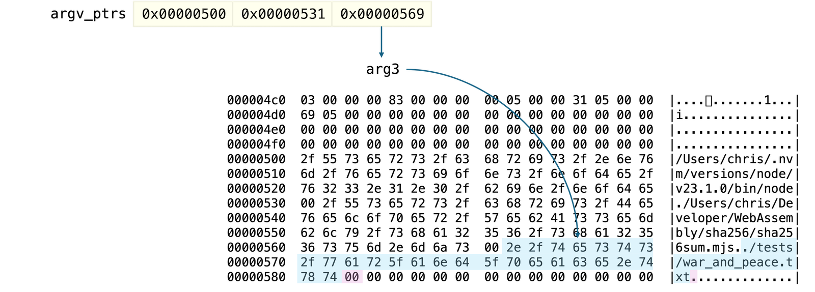 Argument 3